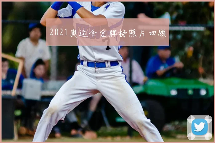 2021奥运会金牌榜照片回顾