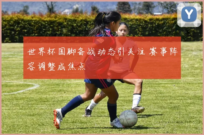 世界杯国脚备战动态引关注 赛事阵容调整成焦点