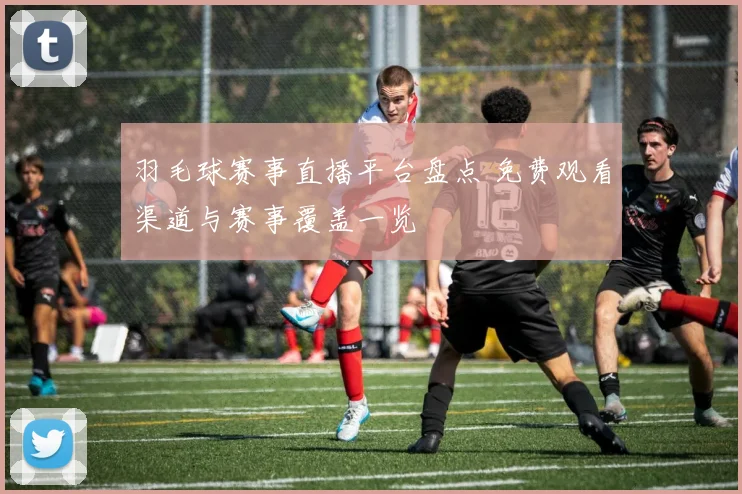 羽毛球赛事直播平台盘点 免费观看渠道与赛事覆盖一览