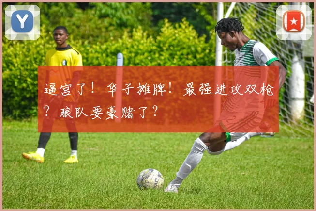逼宫了！华子摊牌！最强进攻双枪？狼队要豪赌了？