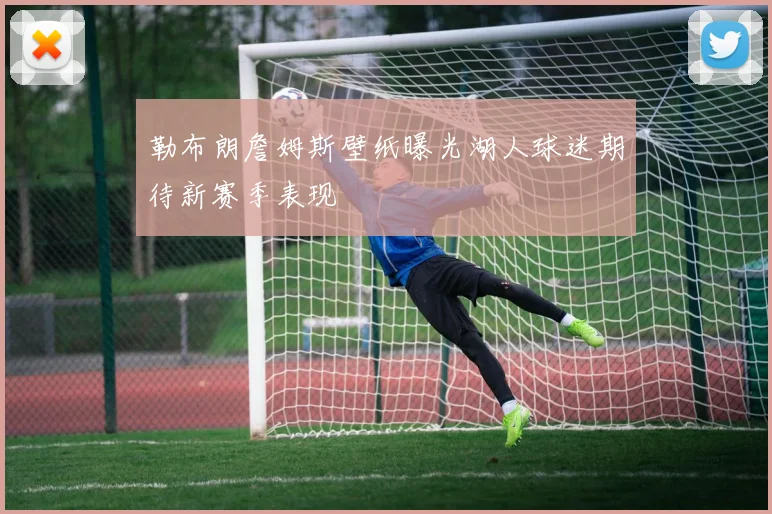 勒布朗詹姆斯壁纸曝光湖人球迷期待新赛季表现